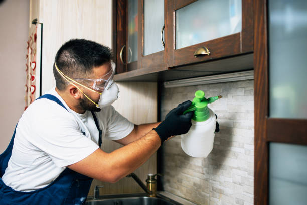 Best Rat Extermination Near Me  in Keene, TX