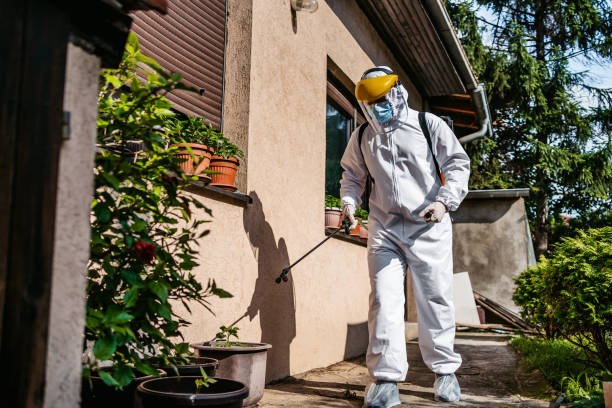 Best Flea Control Services  in Keene, TX