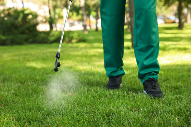 Best Cockroach Control Services  in Keene, TX