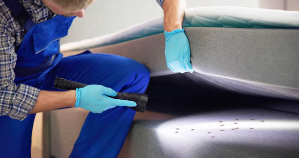 Best Emergency Pest Control  in Keene, TX
