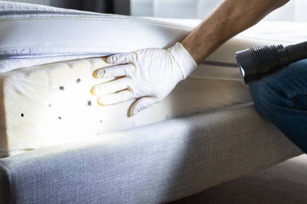 Best Pest Control Cost  in Keene, TX