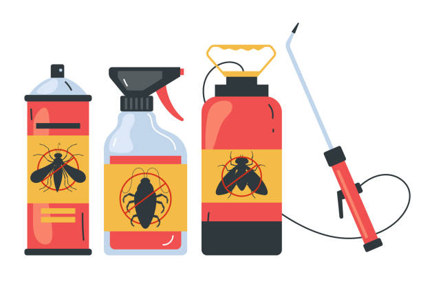 Best Bed Bug Extermination  in Keene, TX