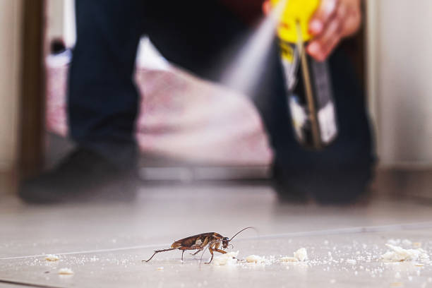 Best Pest Control for Businesses  in Keene, TX