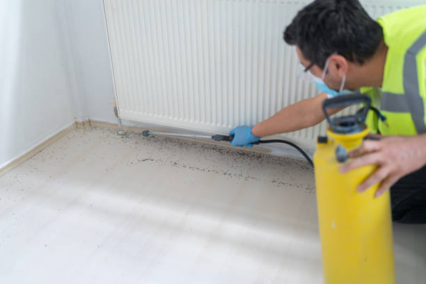 Best Pest Control Near Me  in Keene, TX