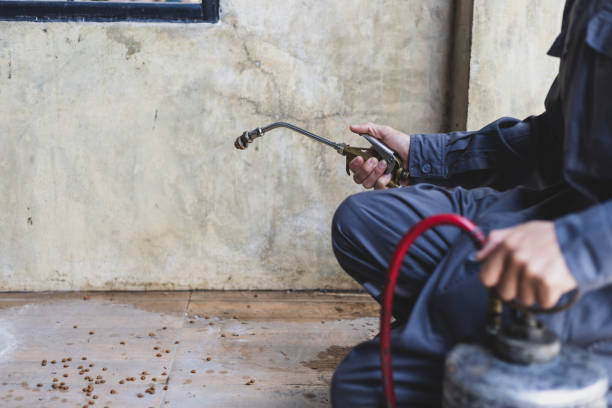 Best Exterminator Services  in Keene, TX